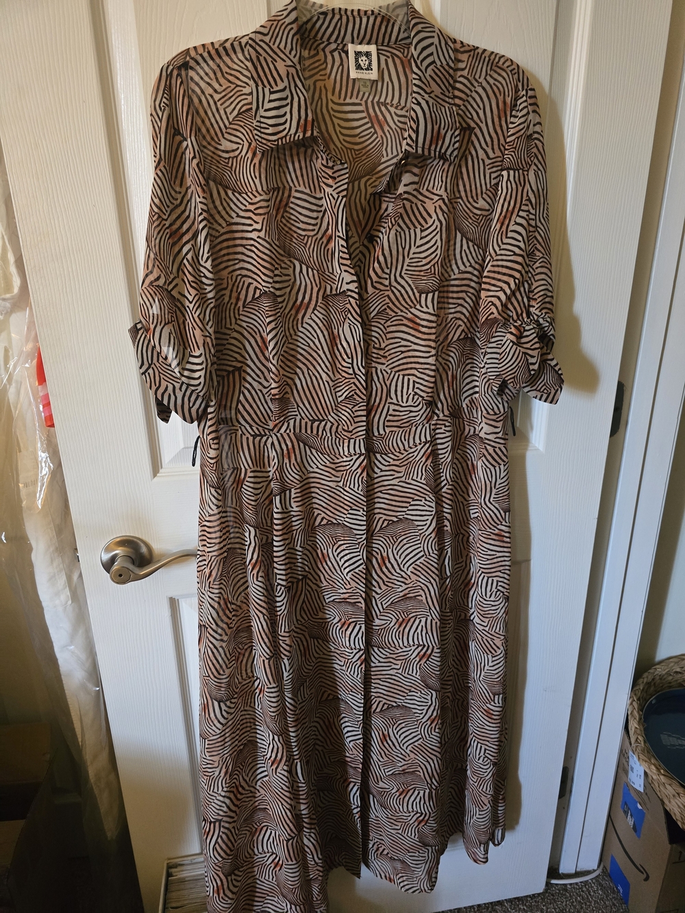 Button-Front Zebra Print Sheer Maxi Dress in Brown & Black